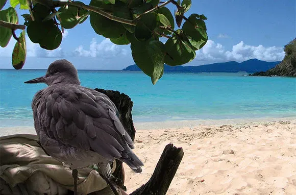 Spotlight on St. John